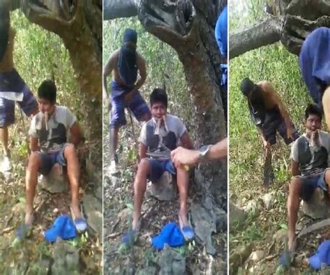 imagens fortes portal zacarias.